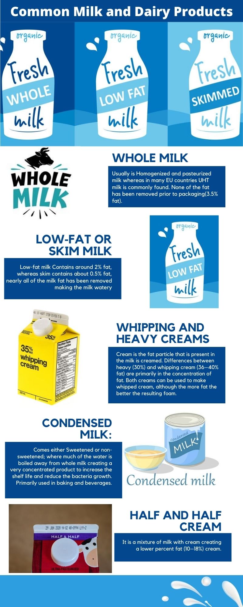 Common Dairy Products List